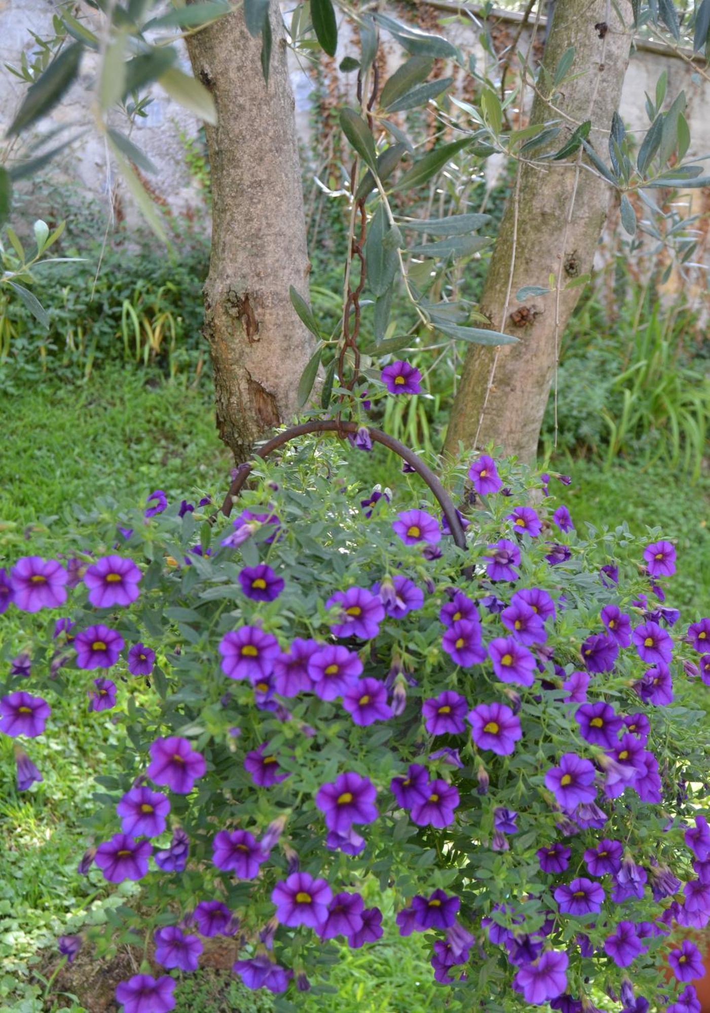 Appartamenti La Perla Malcesine Exterior foto