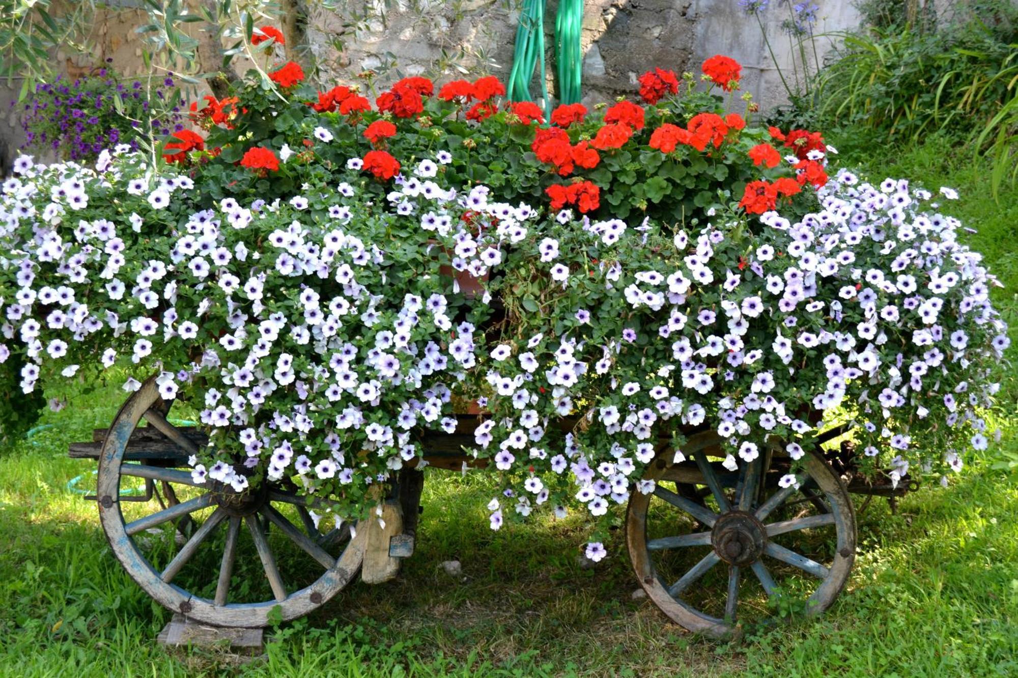Appartamenti La Perla Malcesine Exterior foto